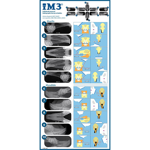 iM3 CR-7 Image Plates