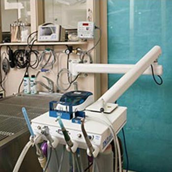 Veterinary dental products such as the iM3 Elite LED & GS Deluxe LED Arm/Wall Mount Dental Machines. Models come in a swing arm, pivot arm, & flex arm. 