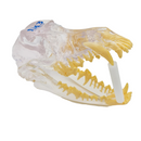 iM3 Adjustable Static Mouth Gag