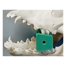 Posterior Rubber Mouth Gag