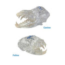 iM3 Feline & Canine Skull Model Set