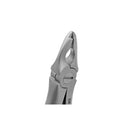 iM3 Sapphira Ultremma Extraction Forcep