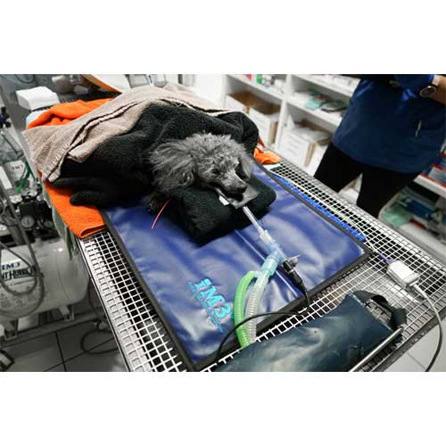 IM3 Dental X Ray Mat Veterinary Dental Products im3-dental-x-ray-mat-veterinary-dental-products