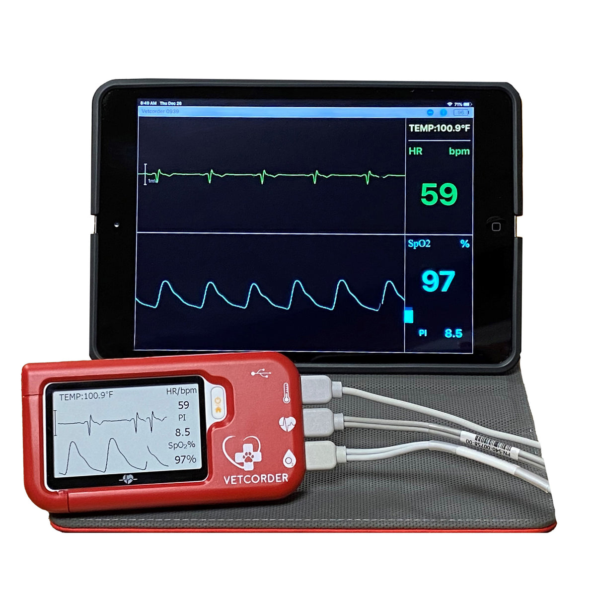Vetcorder Portable Monitor | Veterinary Dental Products