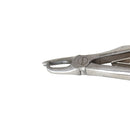 Veterinary dental Cislak EX-28 Tartar/Extraction Forceps (economy version), made from stainless steel.