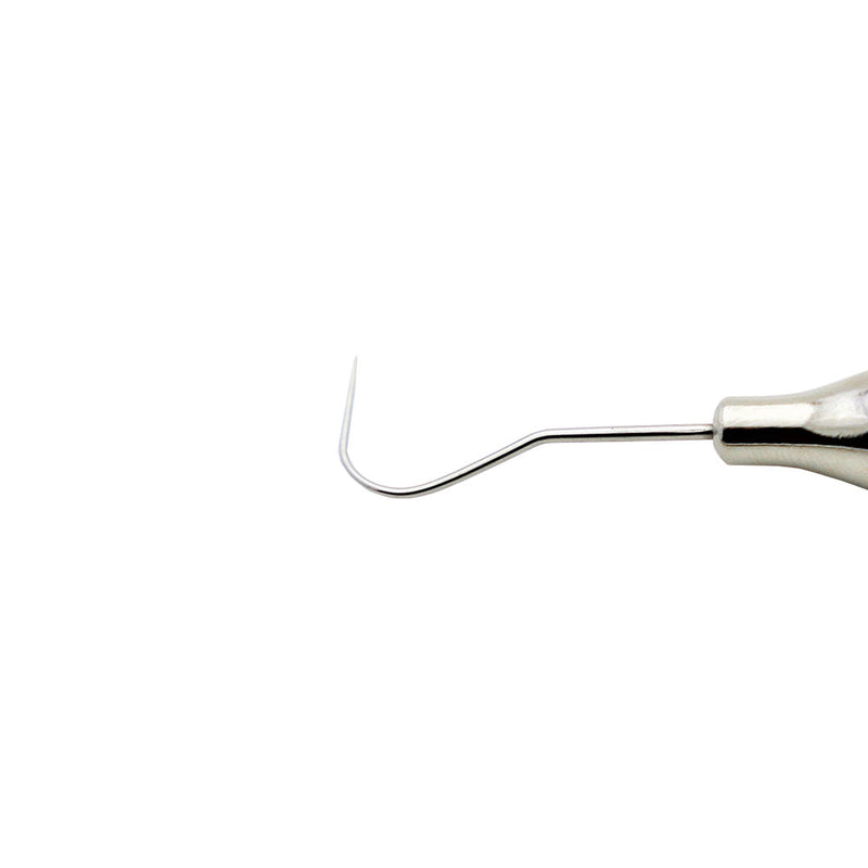 Veterinary dental Cislak Feline Probe/Explorer (PCC-9/23), in stainless steel.