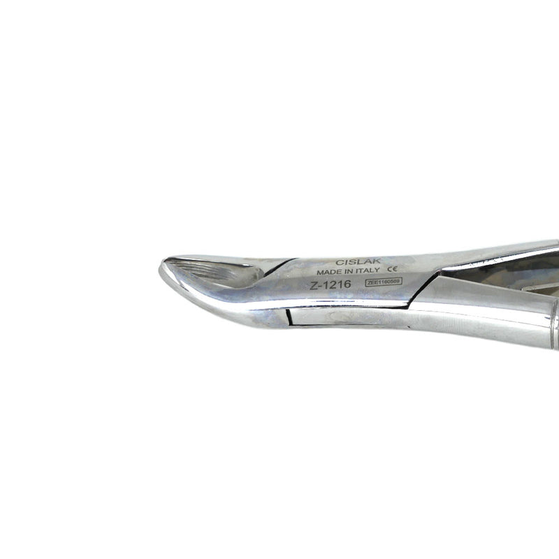 Calculus Rmeoval Forceps Veterinary Dental Cislak Extraction / Tartar Removing Forceps (#150SK)