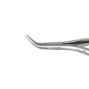 Shop online for veterinary dental Cislak