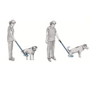 Shop online for the Olympic Veterinary Clean-Catch, which saves you time since you collect specimens faster, eliminate washing, and are always ready for re-use.