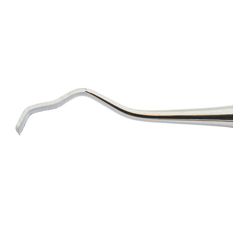 Veterinary dental Cislak Heavy Tartar Hoe (13K/13KL), in stainless steel.