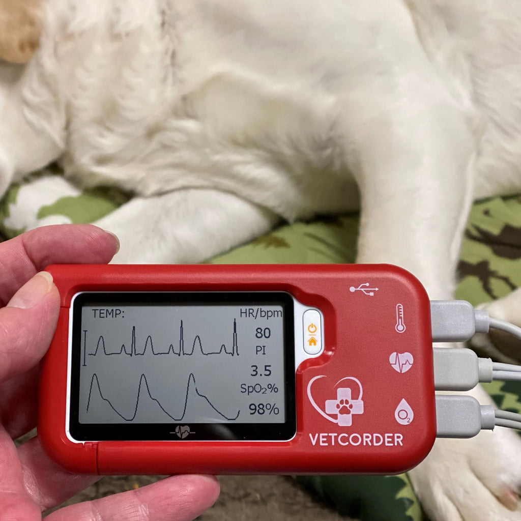 Vetcorder Monitor Vetcorder Portable Monitor | Veterinary Dental Products