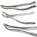 Cislak #151 / #151SK Cryer Forceps