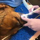 Shop online at Serona for veterinary dental products such as the iM3 Dental Mat, which is re-usable 50-100 times, 11.8" x 15.7" in length, and is recyclable. 