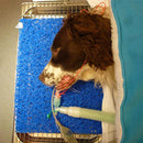 Shop online at Serona for veterinary dental products such as the iM3 Dental Mat, which is re-usable 50-100 times, 11.8" x 15.7" in length, and is recyclable. 