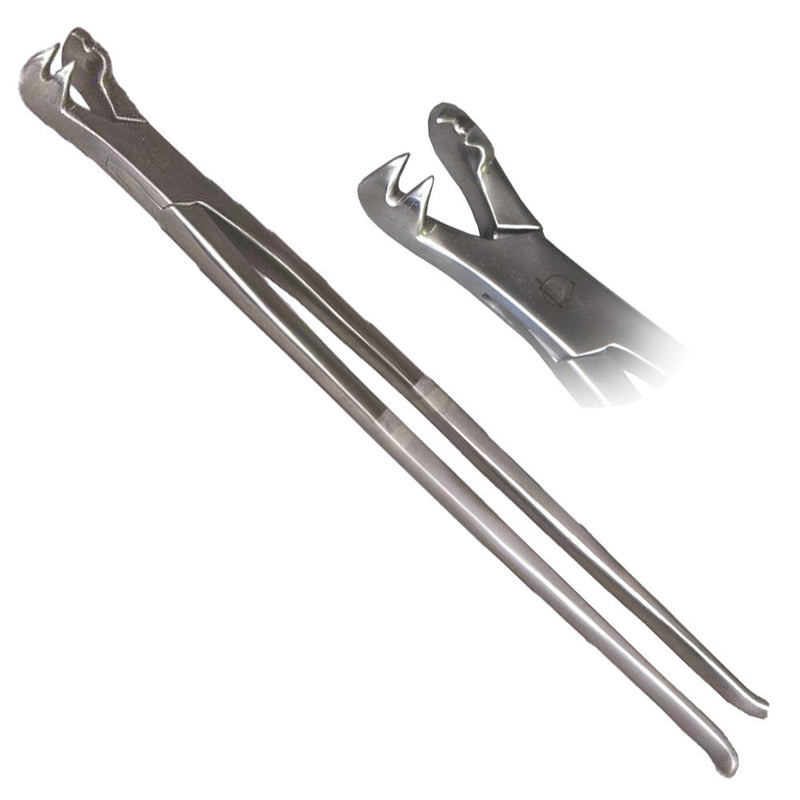 Shop online for an Equine 4-Prong Extraction Forceps, 19" Length, for a horse. Available for horse or pony. Ideal for gripping short crowned geriatric and fractured teeth.