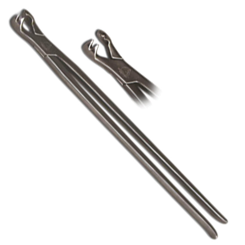 Equine 4-Prong Extraction Forceps, 19" Length, for a pony. Ideal for gripping short crowned geriatric and some fractured teeth. 