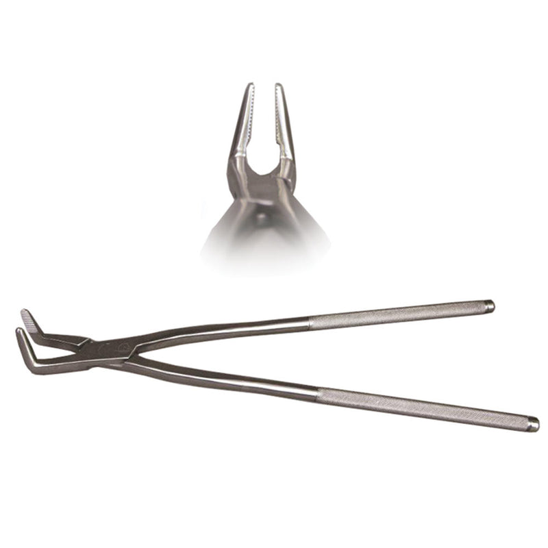 Veterinary dental fragment forceps. These forceps are 19" in length and have a jaw length of 2".
