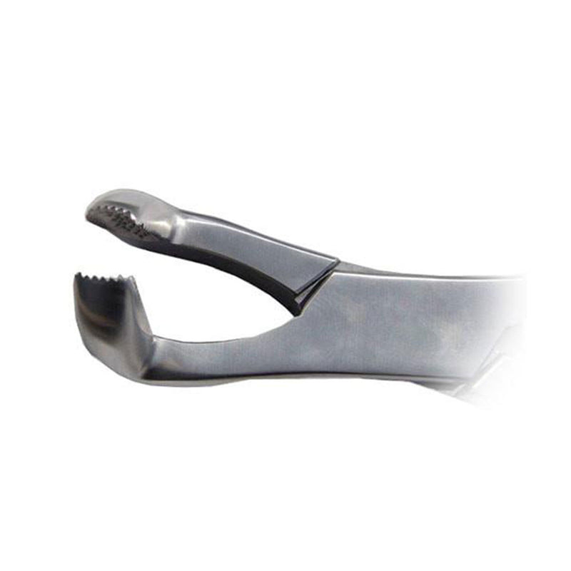 Veterinary dental heavy fragment forceps. These heavy fragment forceps have a 2" jaw length for removing tooth splinters and roots.