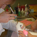 Veterinary dental semi-flexible micro-endoscope. This endoscope has a 1.9 mm O.D., 10,000-fiber image bundle, portable LED light source, ACMI-Storz®-Wolf lightpost, is compatible with most cameras, and is completely immersible.