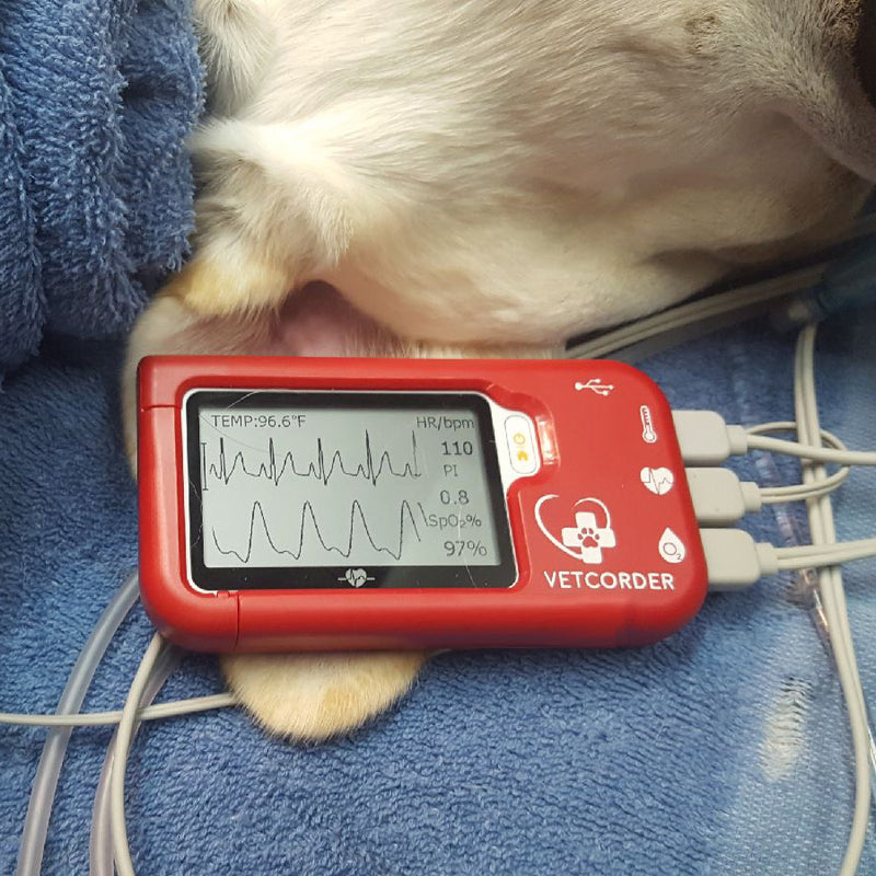 Vetcorder Monitor Vetcorder Portable Monitor | Veterinary Dental Products