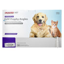 Shop online at Serona for the veterinary dental Crosstex Twist Disposable Oscillating Prophy Angle, Soft Cup, available for sale in packages of 10 or 100/bag.