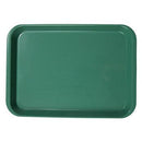 Shop online at Serona.ca for the veterinary dental Zirc B-Lock Flat Tray, available for purchase in a variety of colours. Dimensions: 13-3/8" x 9-5/8" x 7/8".