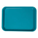 Shop online at Serona.ca for the veterinary dental Zirc B-Lock Flat Tray, available for purchase in a variety of colours. Dimensions: 13-3/8" x 9-5/8" x 7/8".