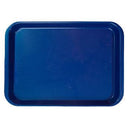 Shop online at Serona.ca for the veterinary dental Zirc B-Lock Flat Tray, available for purchase in a variety of colours. Dimensions: 13-3/8" x 9-5/8" x 7/8".